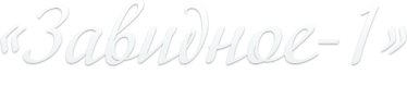 Коттеджный поселок «Завидное-1»